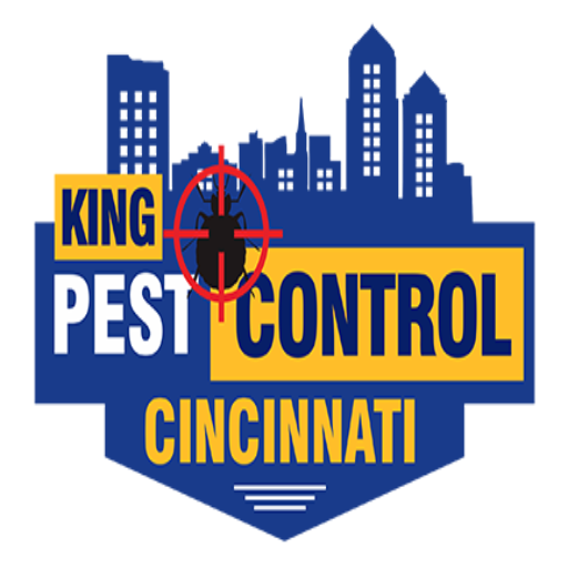 Top Places Bed Bugs Hide Kings Pest Control Cincinnati